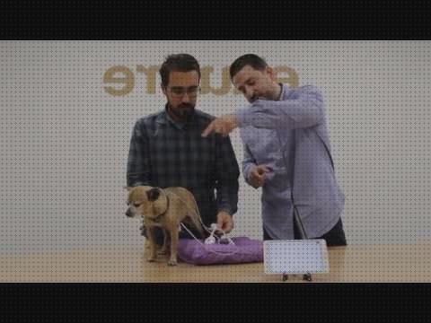 Las mejores ekuore electrocardiografo ekuore