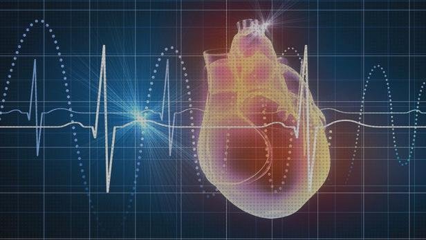 Los 21 Mejores Electrocardiograma Y Ecografías