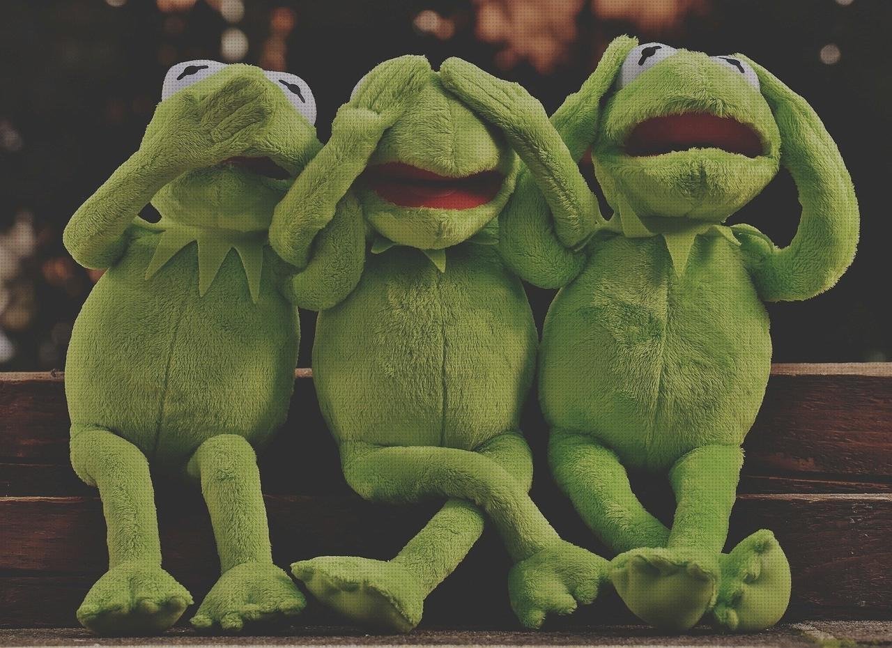 Las mejores estetoscopio paredes Mas aproximado de un termómetro Mas marcha pulsioxímetro escucha paredes estetoscopio