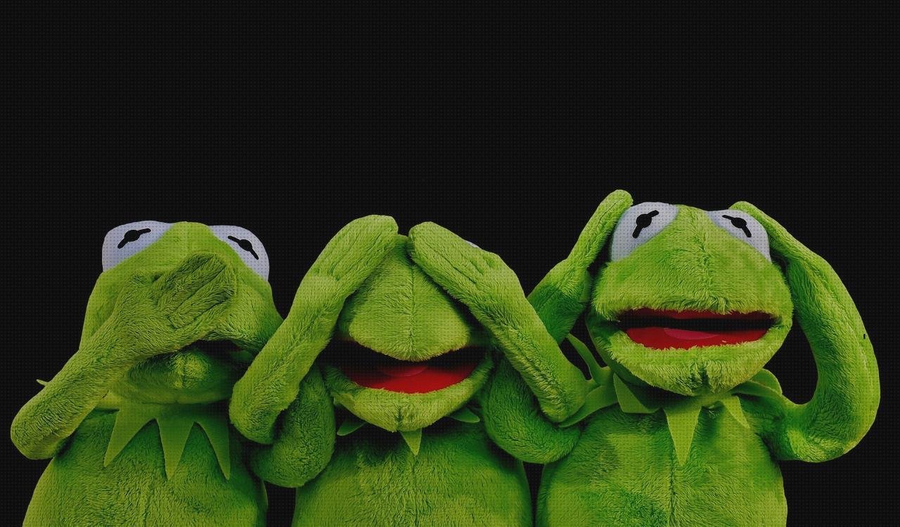 Review de escucha paredes estetoscopio