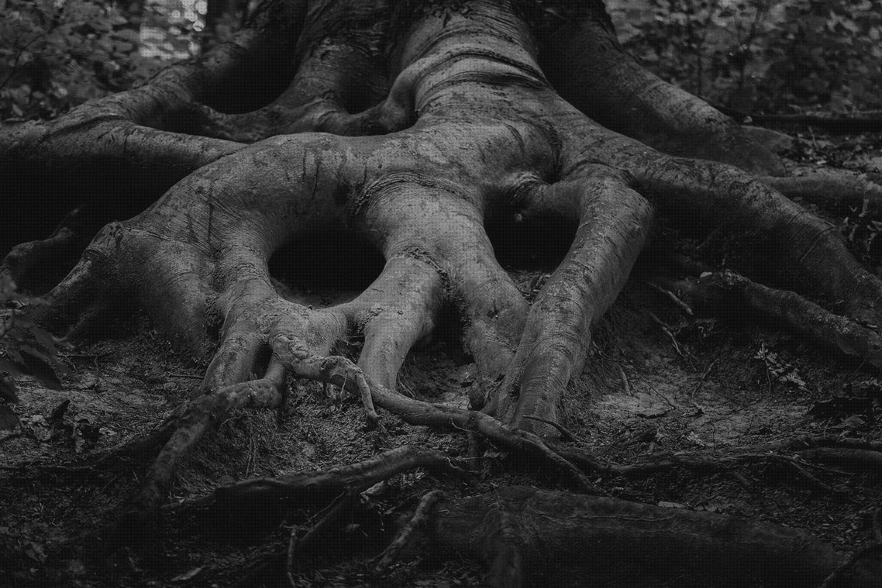 Las mejores marcas de Mas comissao brisanet vendas Mas vendas cinta adesiva Mas vendas perros pata esculturas con vendas