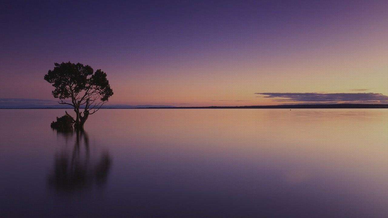 Los 18 Mejores espejos estetoscopios