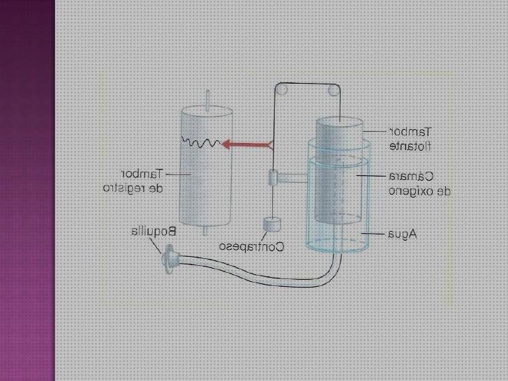 Los mejores 15 Espirómetro Básicos