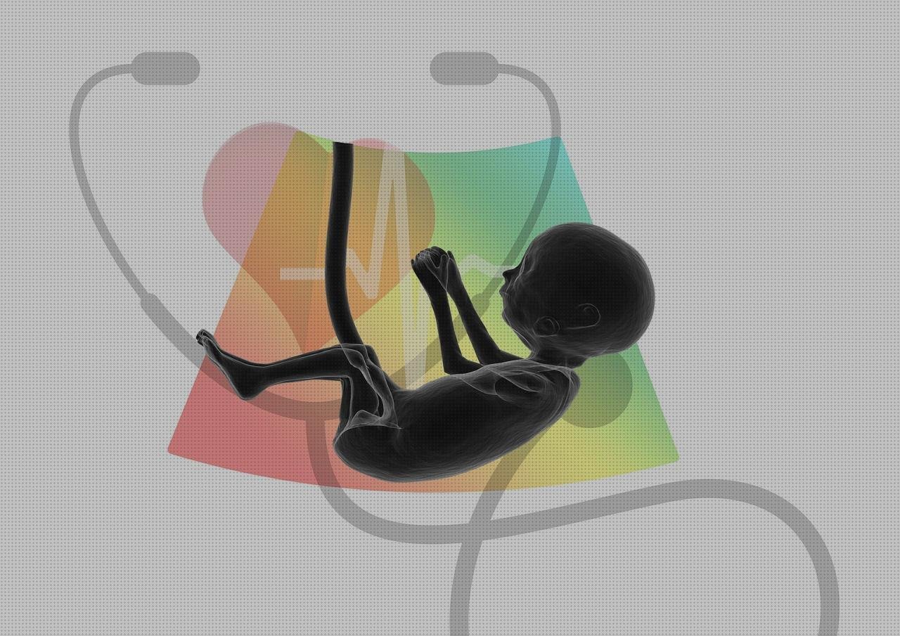 Las mejores marcas de estetoscopios estetoscopio frecuencia cardiaca