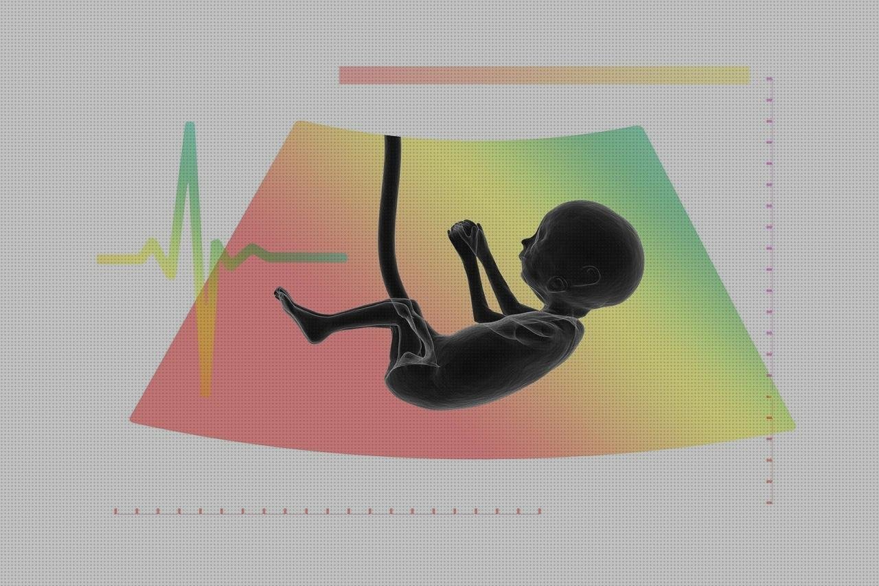 20 Mejores estetoscopios frecuencias cardiacas para comprar