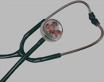 ¿Dónde poder comprar veterinarios littmann estetoscopio littmann para veterinarios?