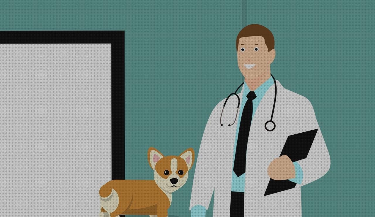¿Dónde poder comprar veterinarios estetoscopios estetoscopio veterinario rosa?