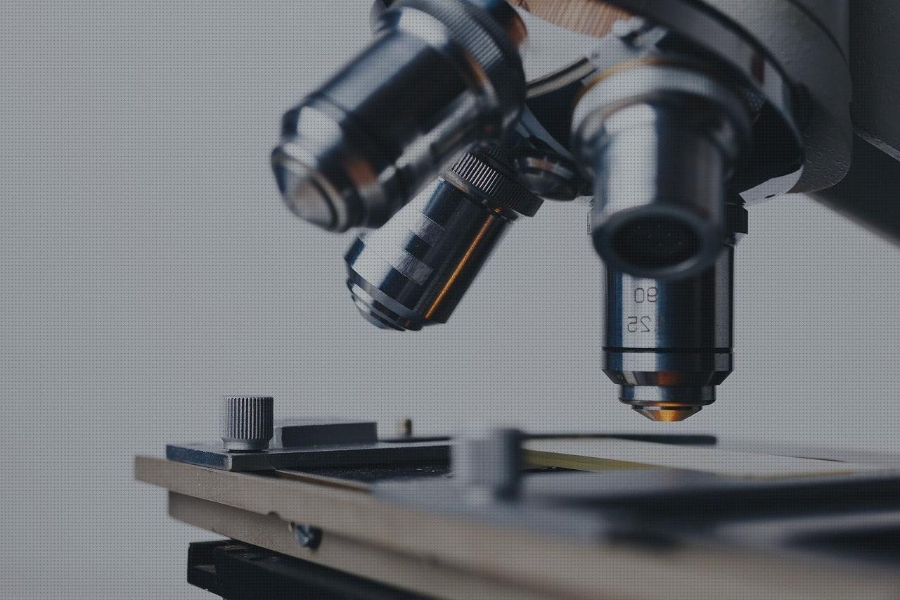 Las mejores marcas de estudia