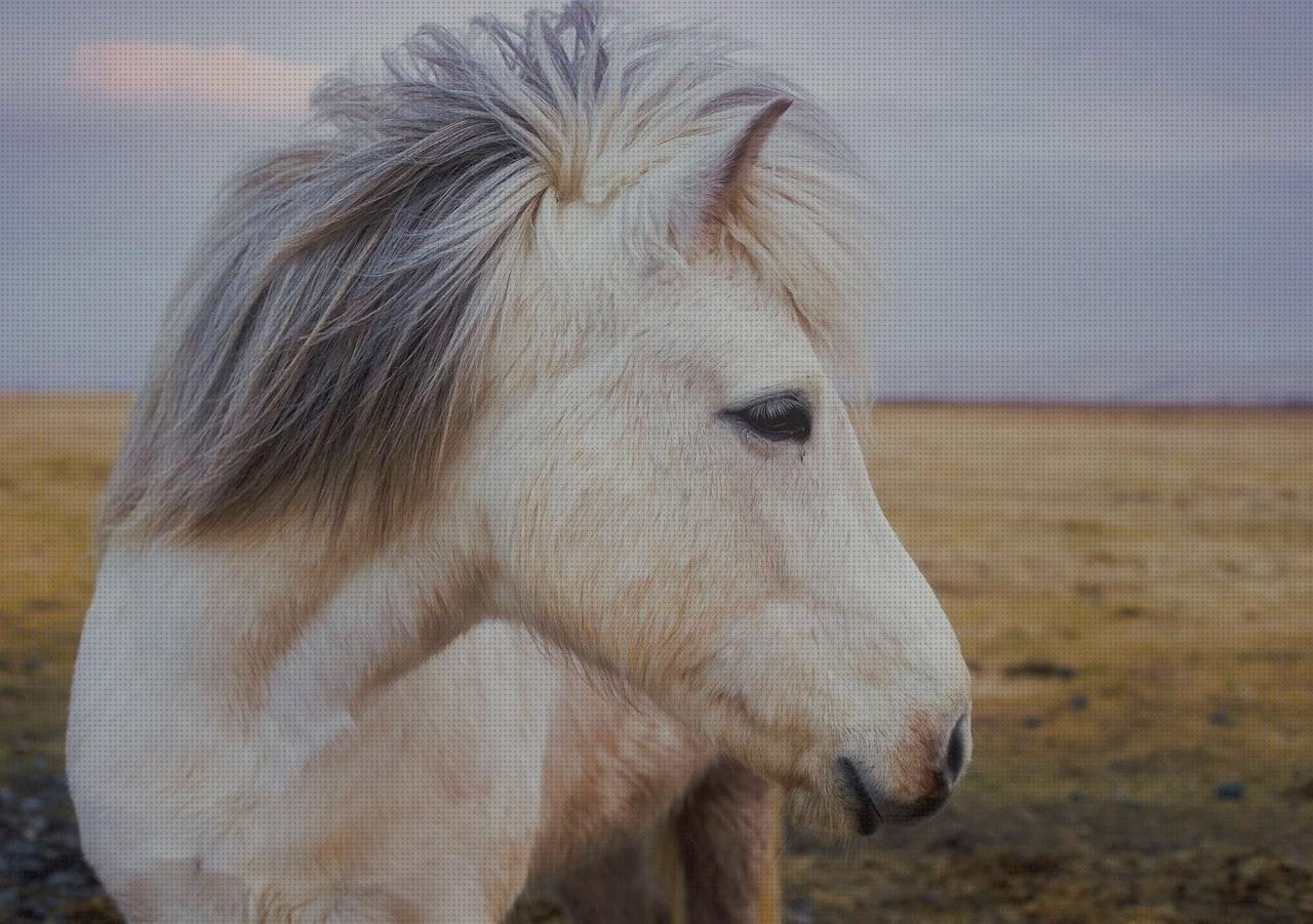 Review de farmaban apósito adhesivo