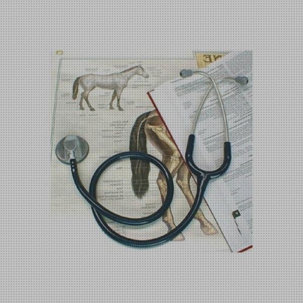 ¿Dónde poder comprar veterinarios littmann fonendoscopio littmann especial veterinarios?