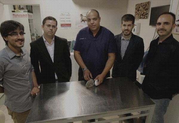 Review de fonendoscopio y ma