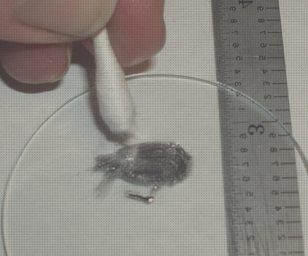 Las mejores marcas de termómetro galinstan Mas termómetro thermoval Mas campana fonendoscopio galinstan termómetro