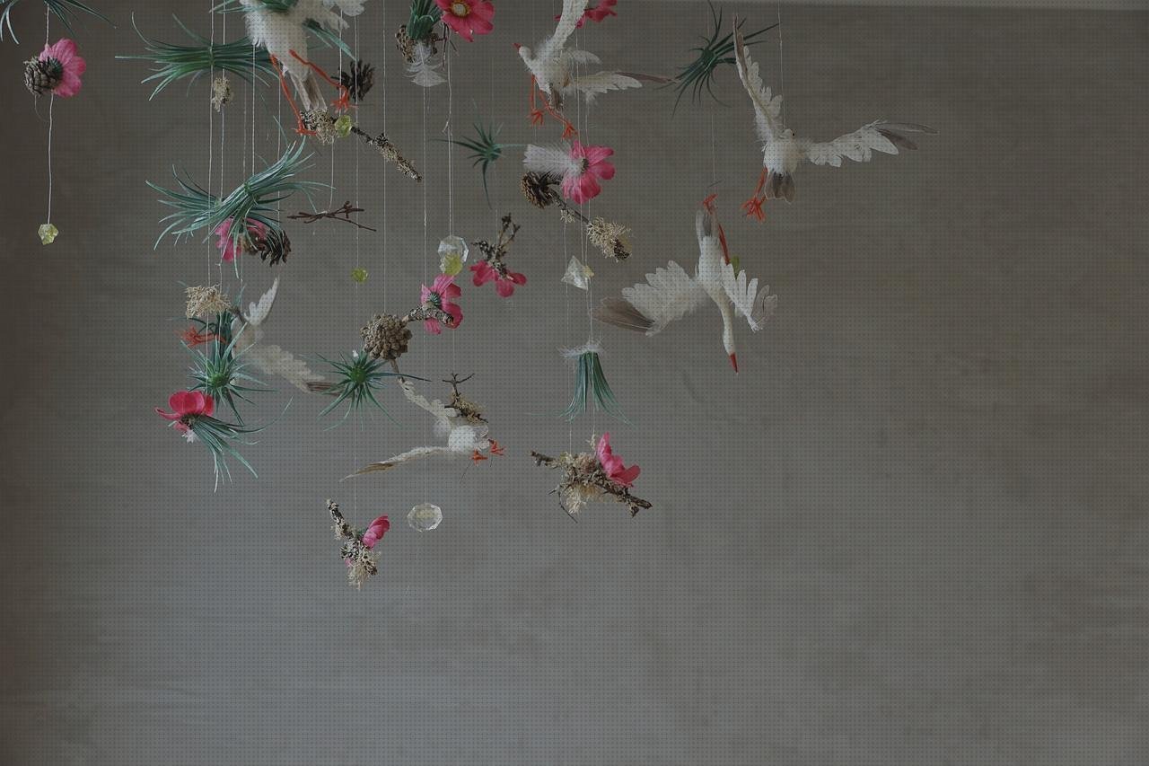 Review de ginecologo con ecografo