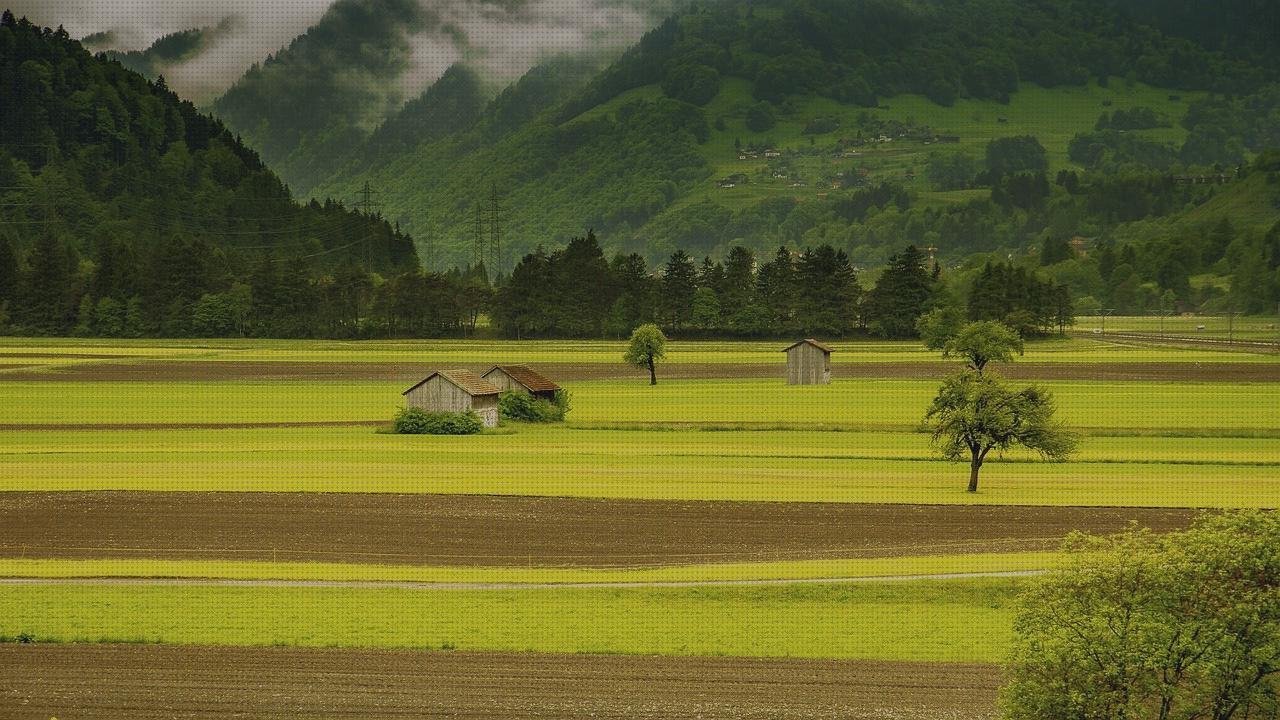 Las mejores marcas de Mas vendas de baja extensibilidad Mas vendas el bronx Mas produtividade de vendas granja de impresoras vendas