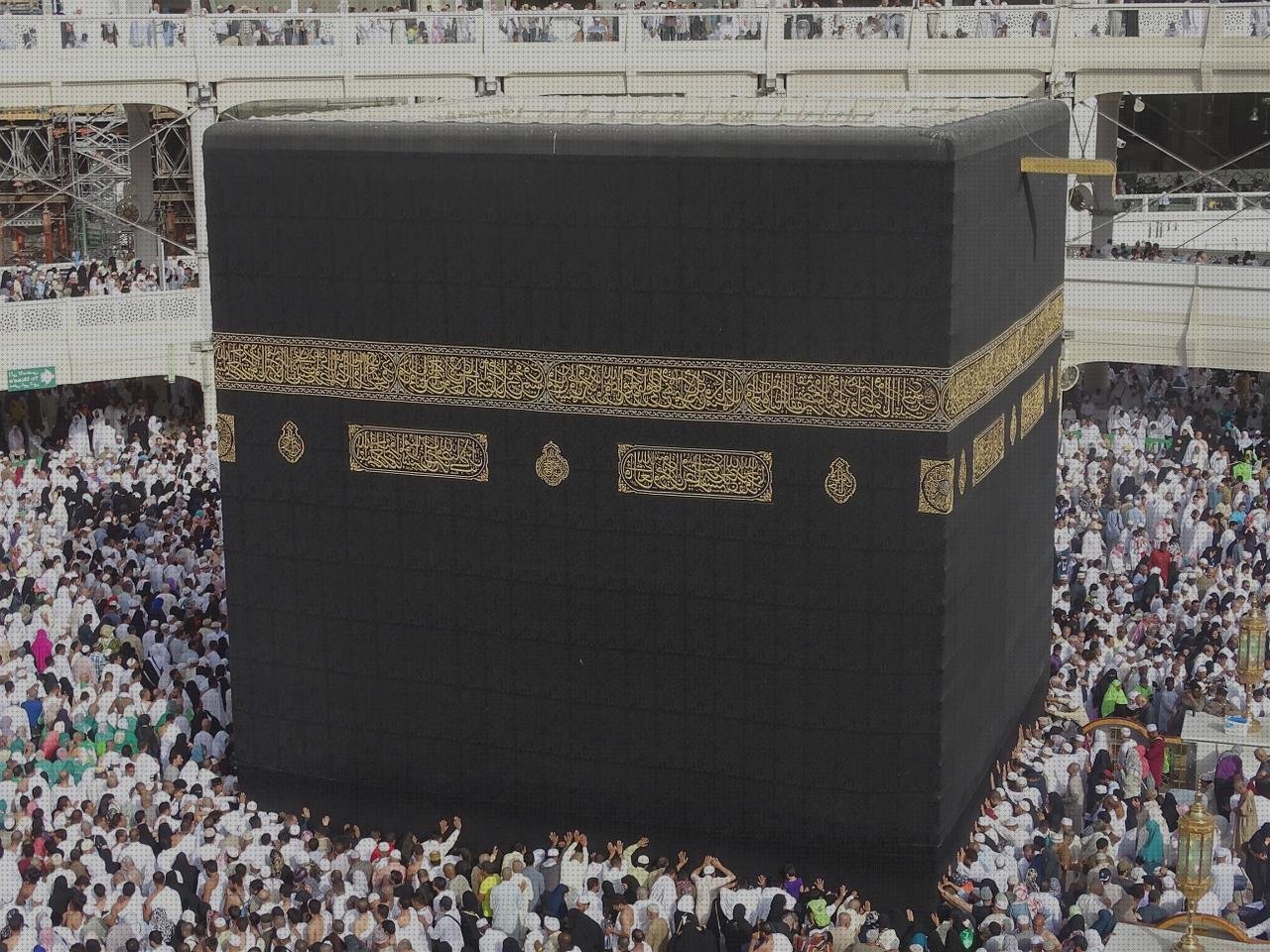 Análisis de los 24 mejores Haraman Apósitos Cicatrizantes