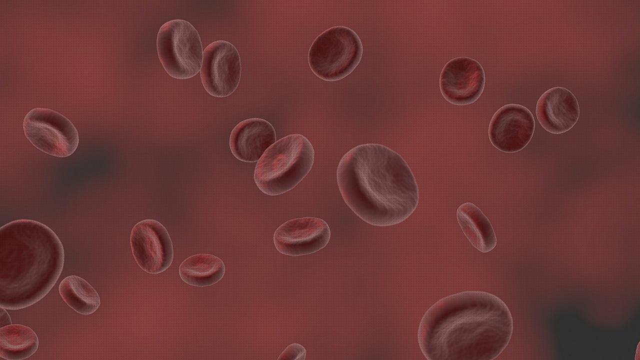 Las mejores marcas de pulsiometro digital hemoglobina hematocrito pulsiometro
