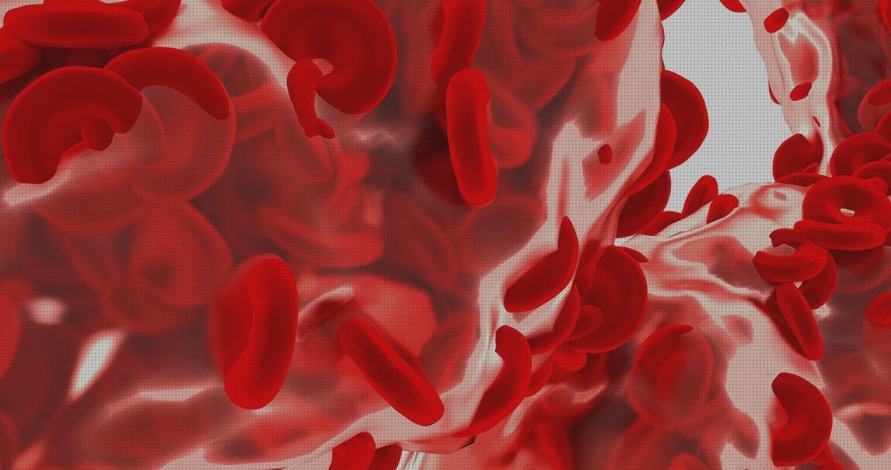 Las mejores pulsiometro digital hemoglobina hematocrito pulsiometro