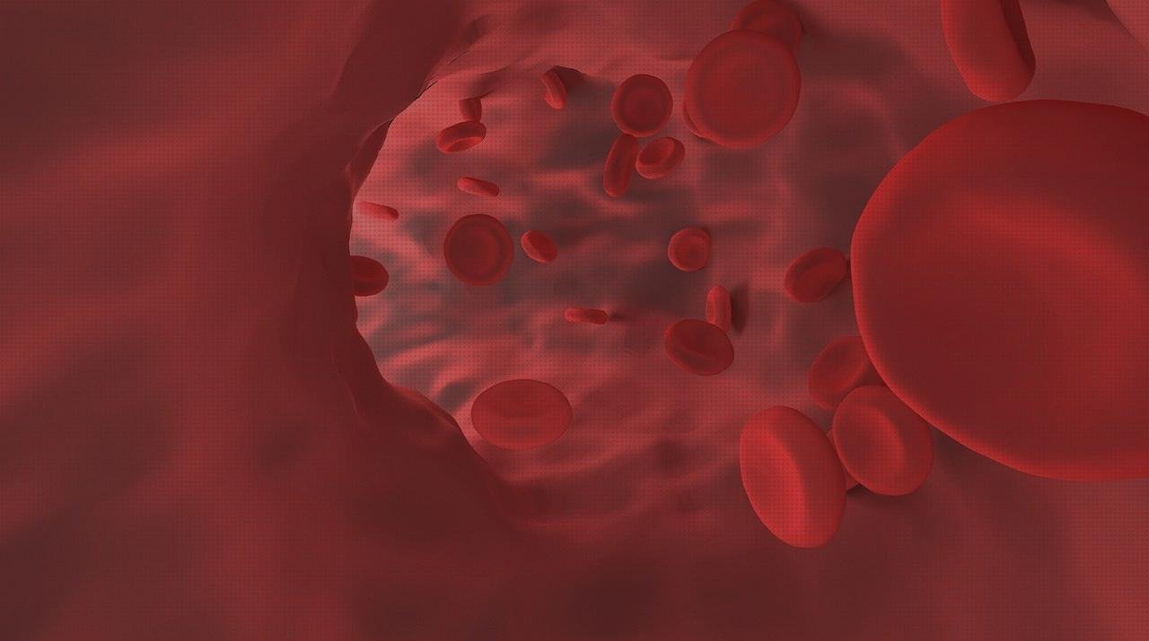 Mejores 8 hemoglobinas hematocritos pulsiometro a la venta
