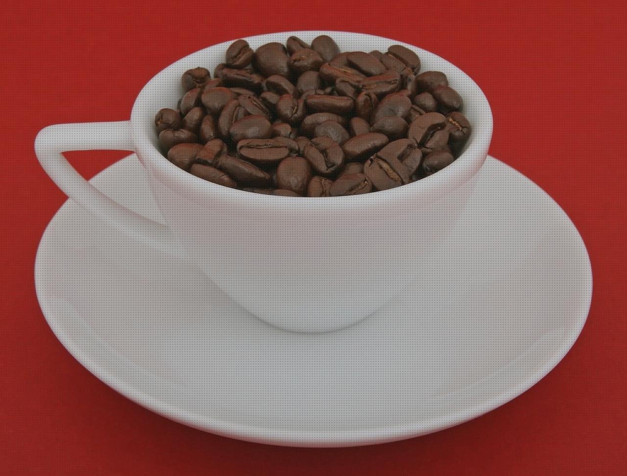¿Dónde poder comprar Mas termómetro acuario sera Mas mercurio rojo termómetro Mas tensiometro correa transmision harley home brew termómetro?