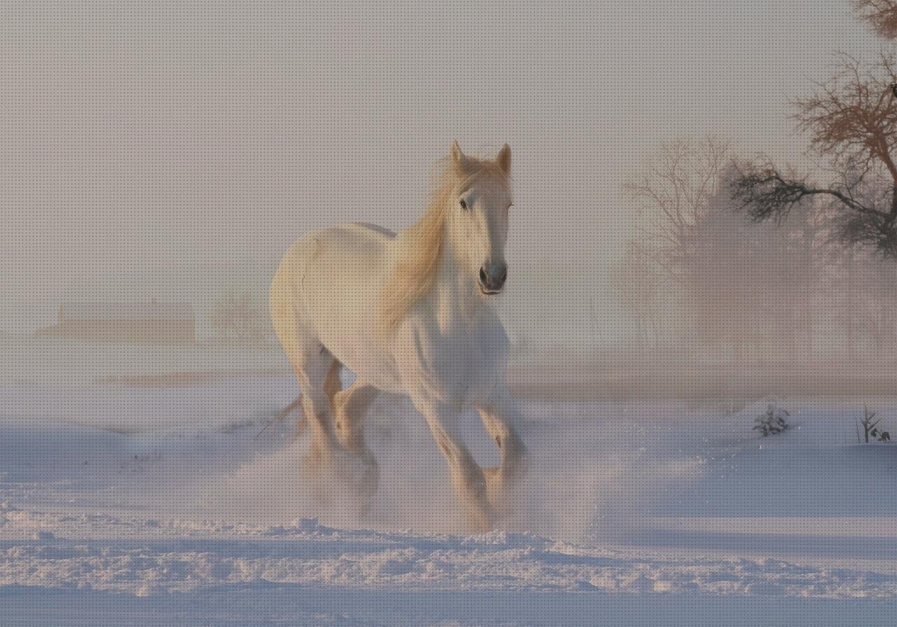 Review de horse vendas