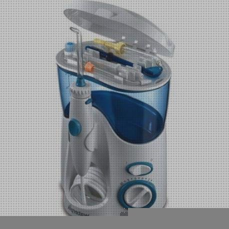Los 25 Mejores Irrigadores Orales Waterpik Ultra Wp 100