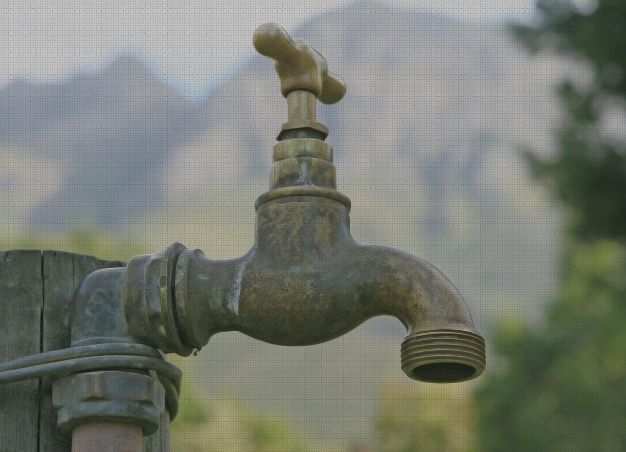 Mejores 23 irrigadores orales waterpik