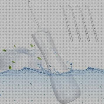 Review de irrigador oral watwe frosser