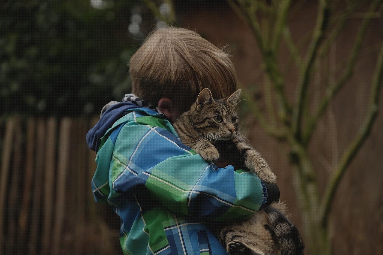 ¿Dónde poder comprar vendas juego supervivencia vendas protecccion velour vendas juego de el abrazo con vendas?