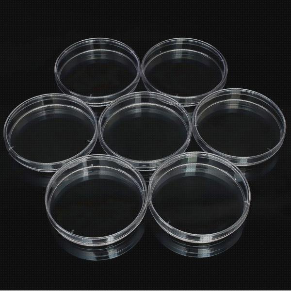 Los 12 Mejores kartell lavaojos para comprar