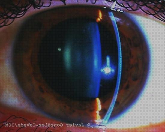 Las mejores marcas de lamparas lampara azul de hendidura