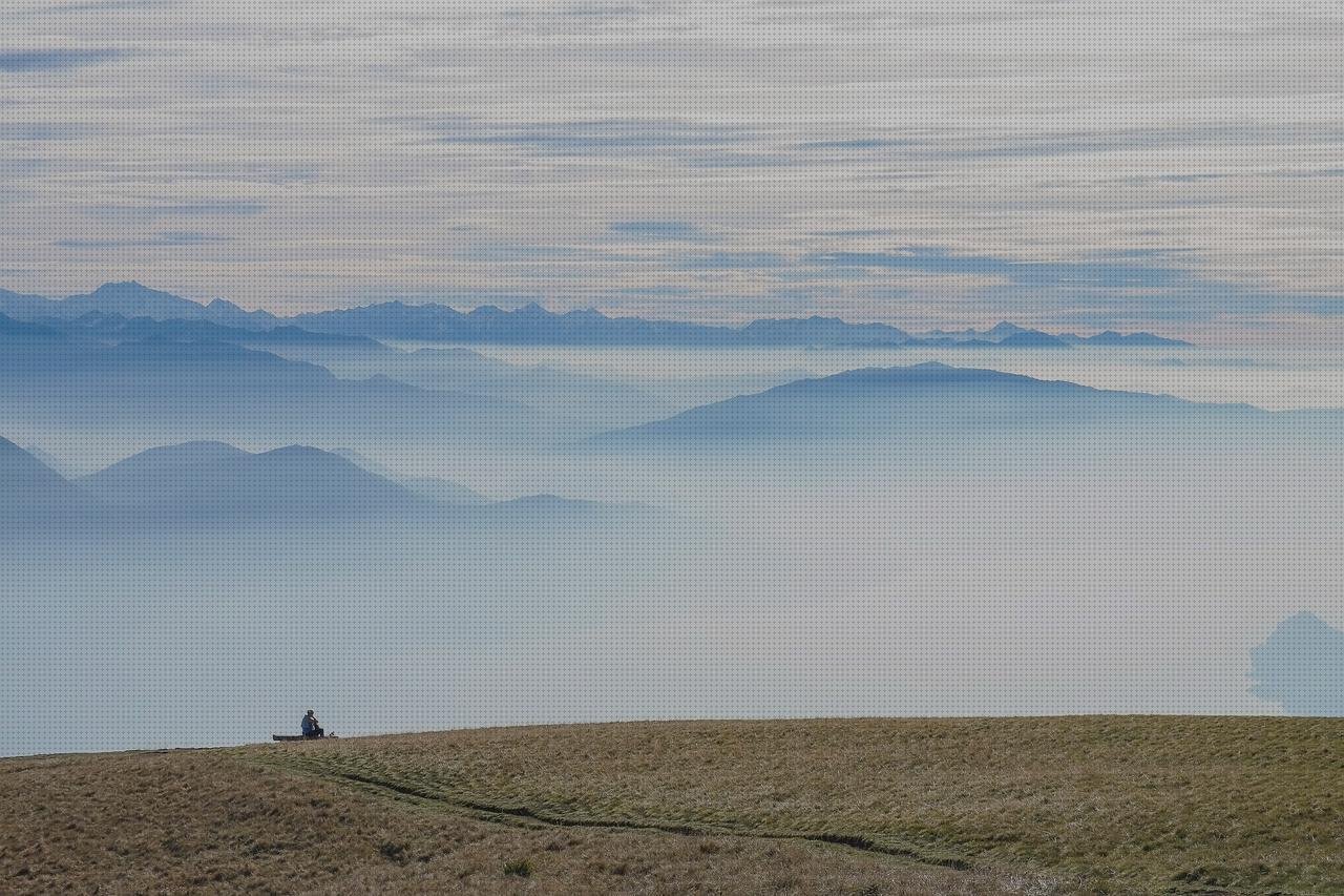 ¿Dónde poder comprar Mas vendas perros pata Mas vendas postoperatorias Mas vendas postoperatorias lem vendas motos?