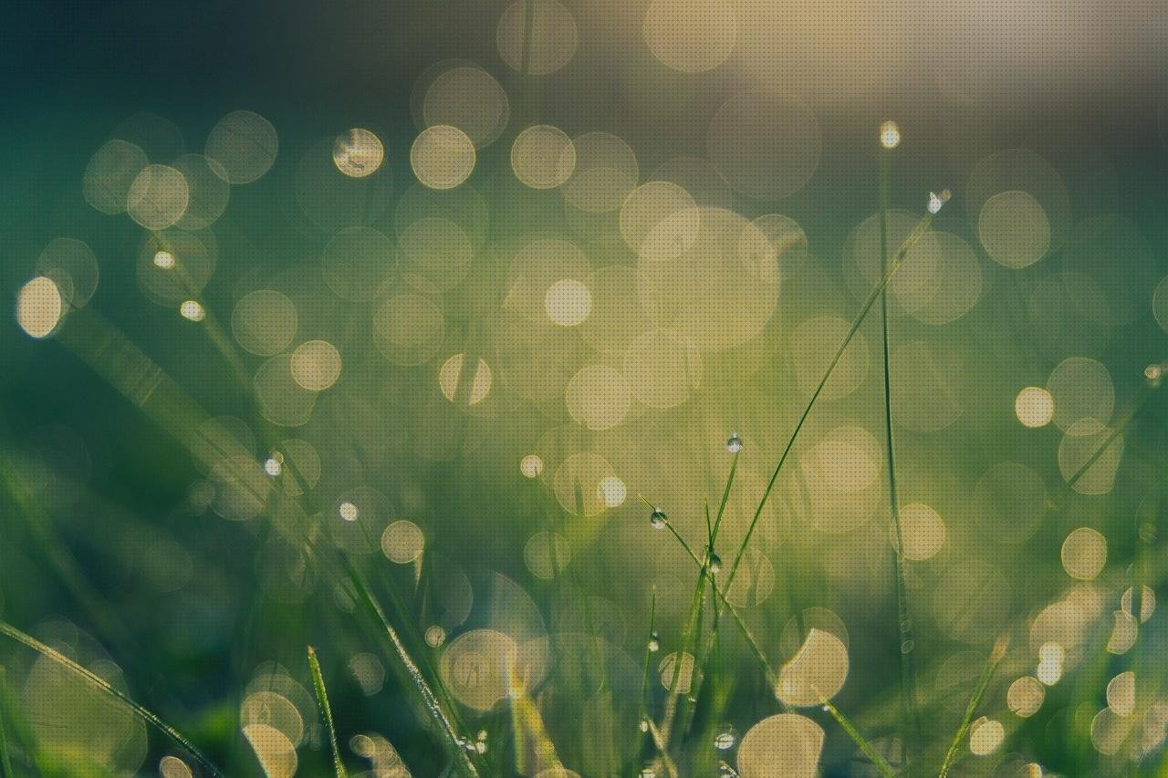 Las mejores luz cuadrada oftalmoscopio oftalmoscopio digital luz verde en oftalmoscopio