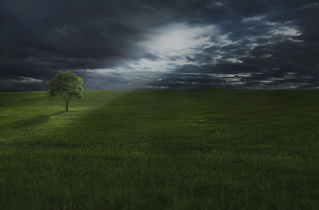 Review de luz verde en oftalmoscopio