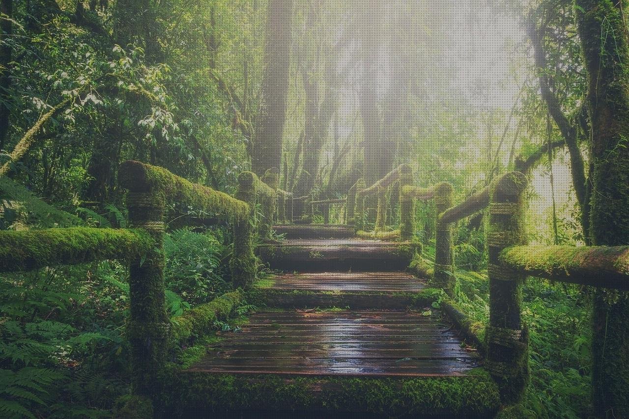 Análisis de las 12 mejores Luces Verdes En Oftalmoscopio