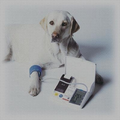 Las mejores manguitos manguitos para tensiometro veterinario
