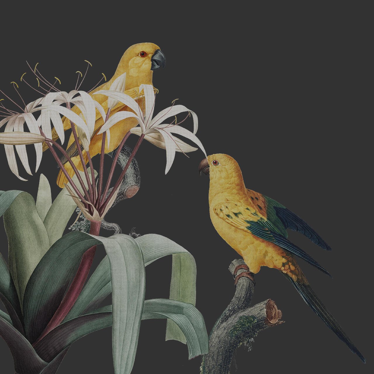 Review de marca de apósitos medicamentosos