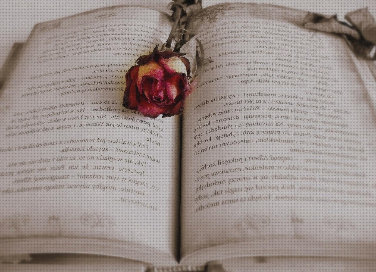 ¿Dónde poder comprar medisana tensiometro marca medisana tensiometro?