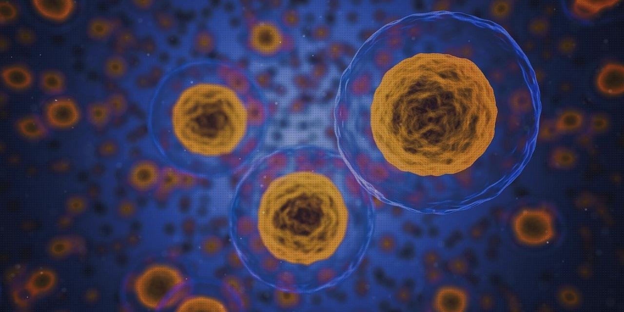 Las mejores microscopios