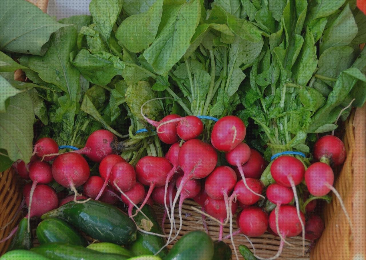 Los 21 Mejores monton de vendas bajo análisis