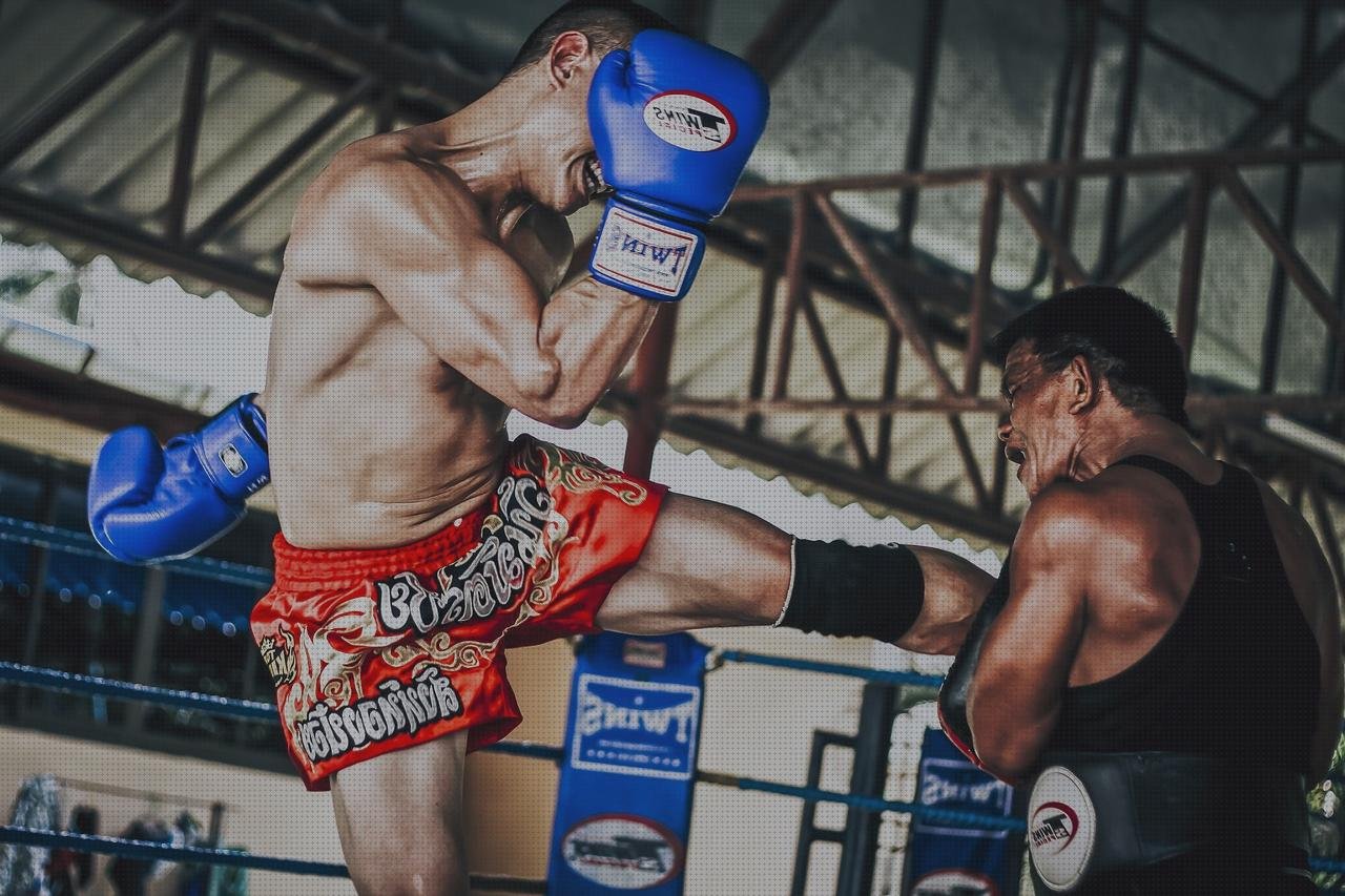 Las mejores vendas muay thai Mas vendas perros pata Mas vendas postoperatorias muay thai vendas cuerdas