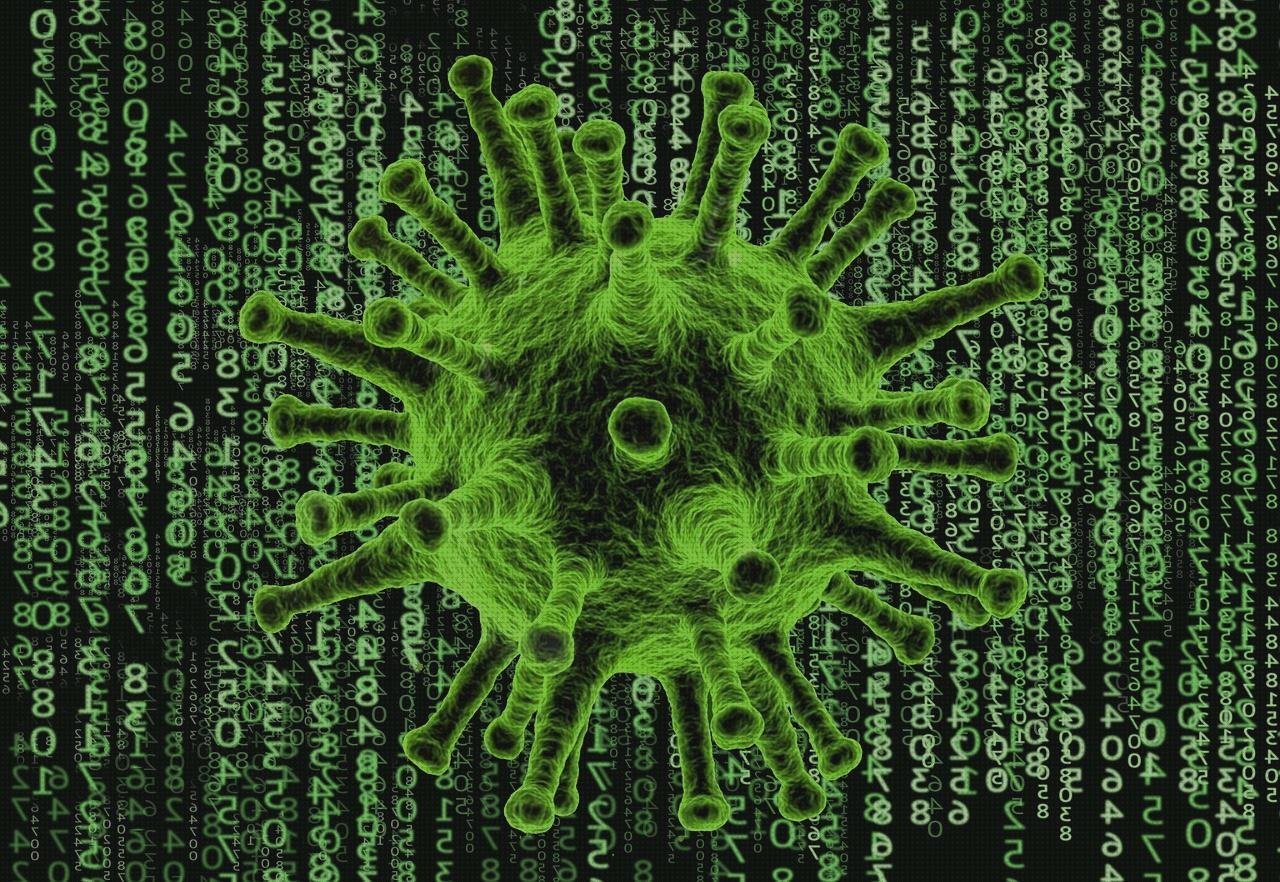 ¿Dónde poder comprar numero?