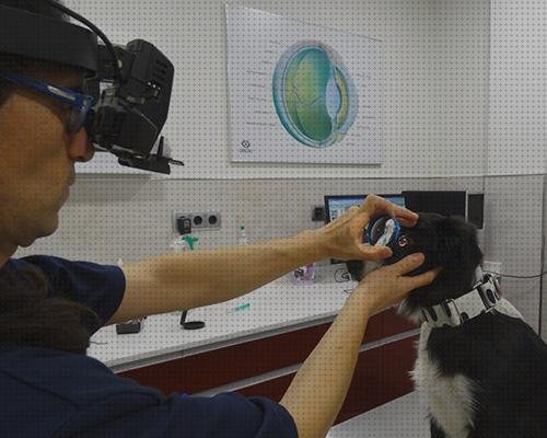 Las mejores marcas de perros oftalmoscopio directo perros