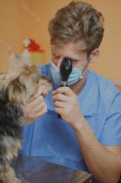 Las mejores oftalmoscopio digital oftalmoscopio veterinario