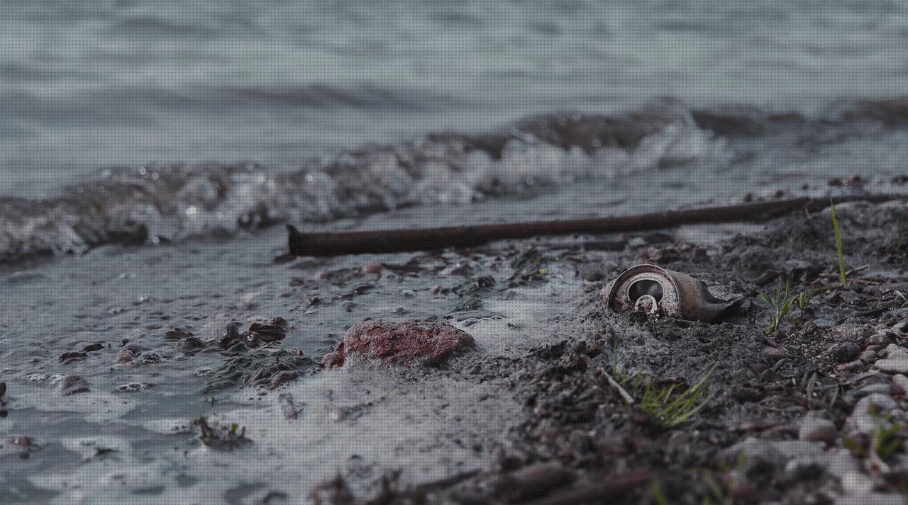 Review de onda eco doppler