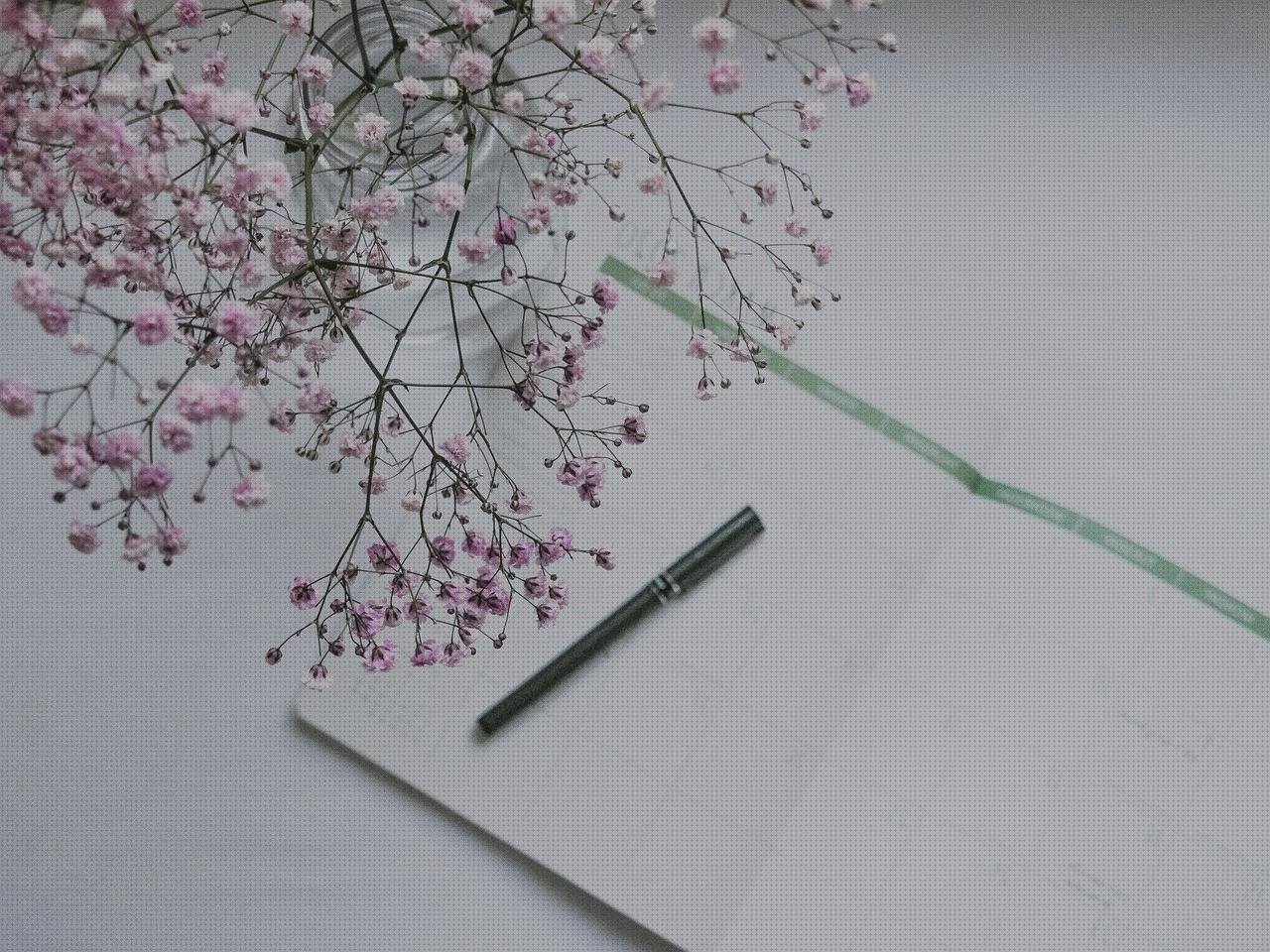 Review de organizador enfermera