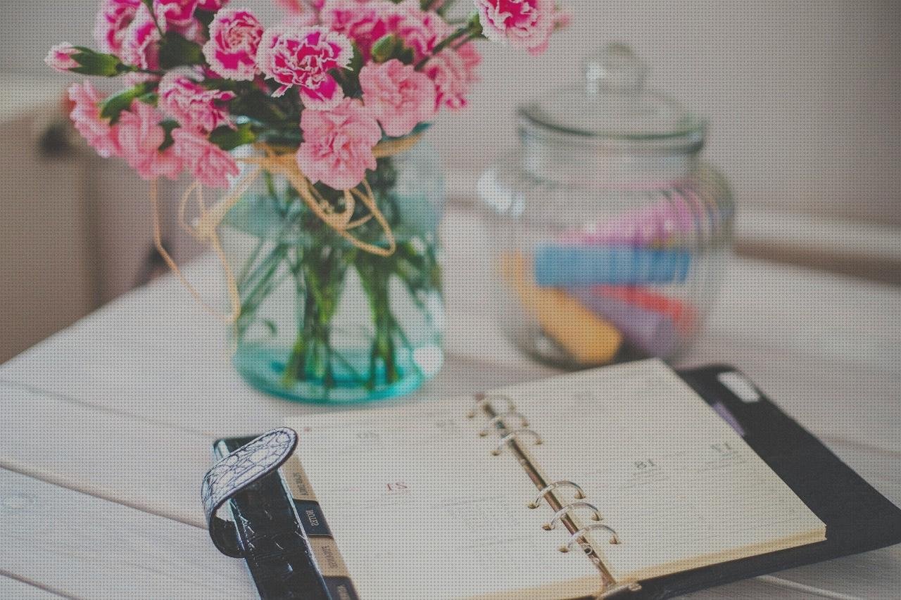 ¿Dónde poder comprar Mas vendas postoperatorias Mas vendas postoperatorias Mas vendas postoperatorias organizador vendas veterinario?