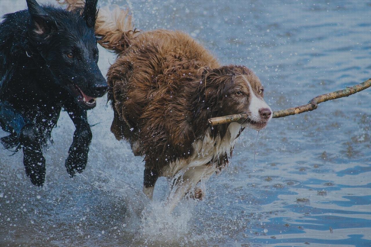 Las mejores zurdos pala laringoscopio zurdos