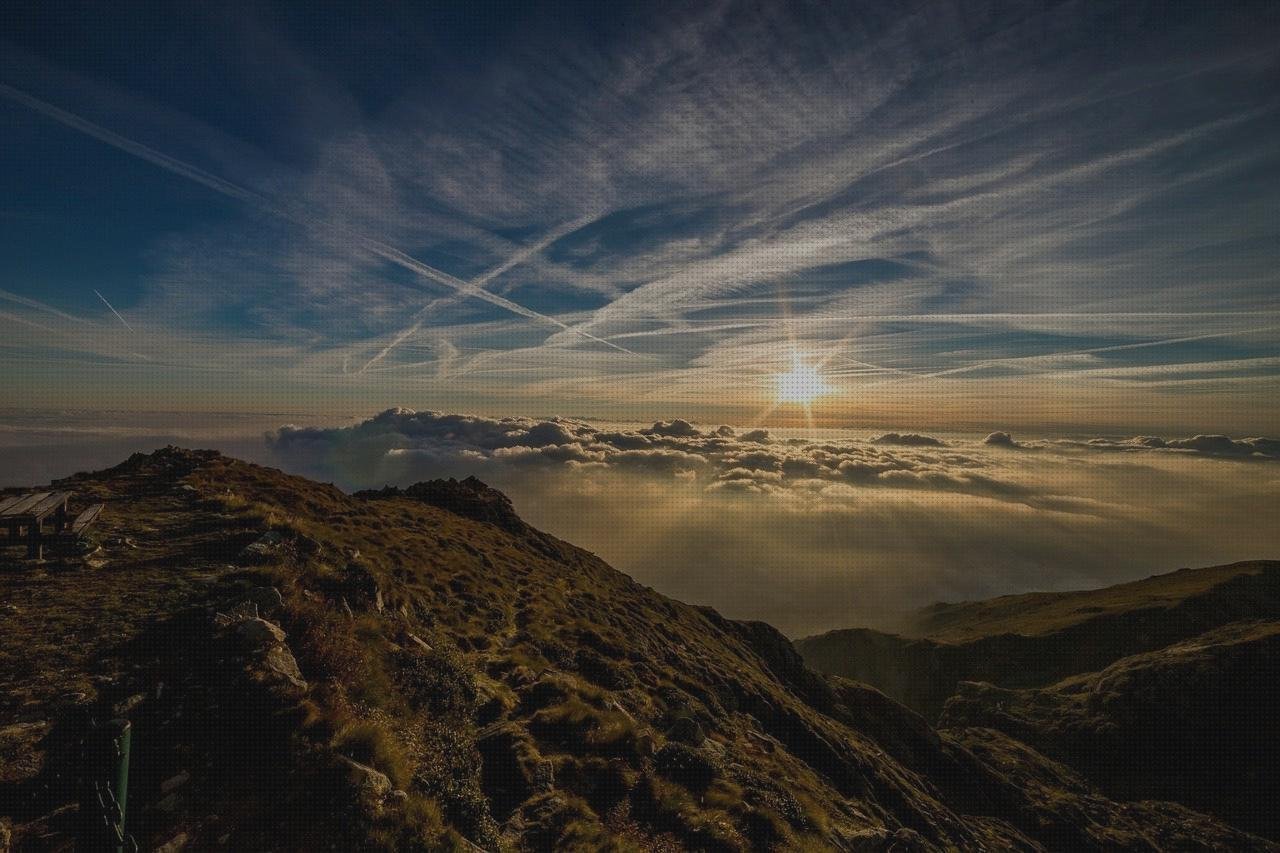 ¿Dónde poder comprar pico laringoscopio?