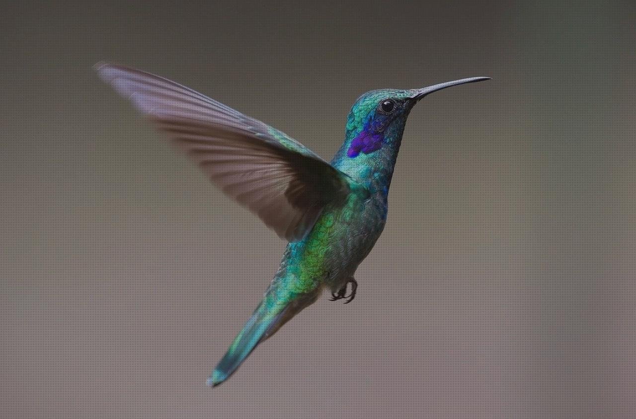 Review de pico laringoscopio