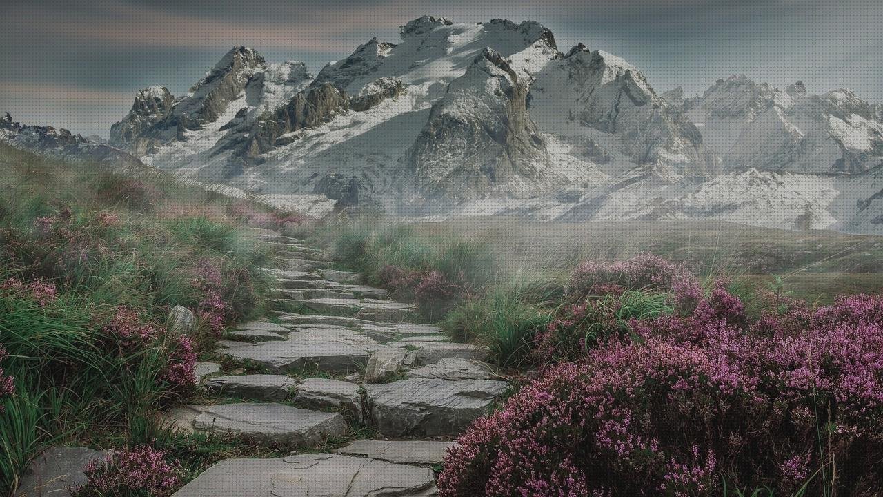 13 Mejores artículos para picos laringoscopios en internet